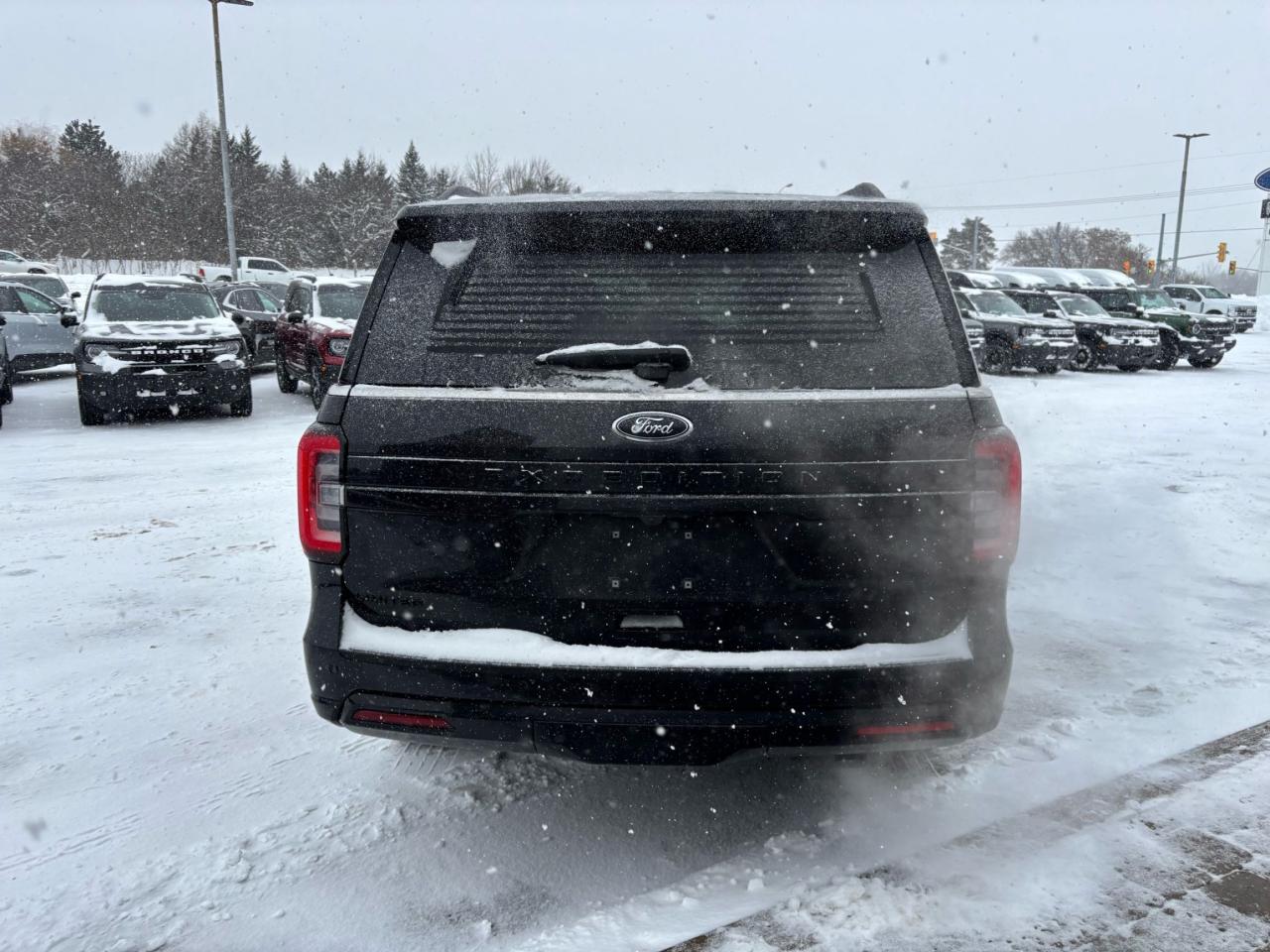 2022 Ford Expedition LOCAL PURCHASE! 22" RIMS, LOADED LTD WITH STEALTH! Photo4