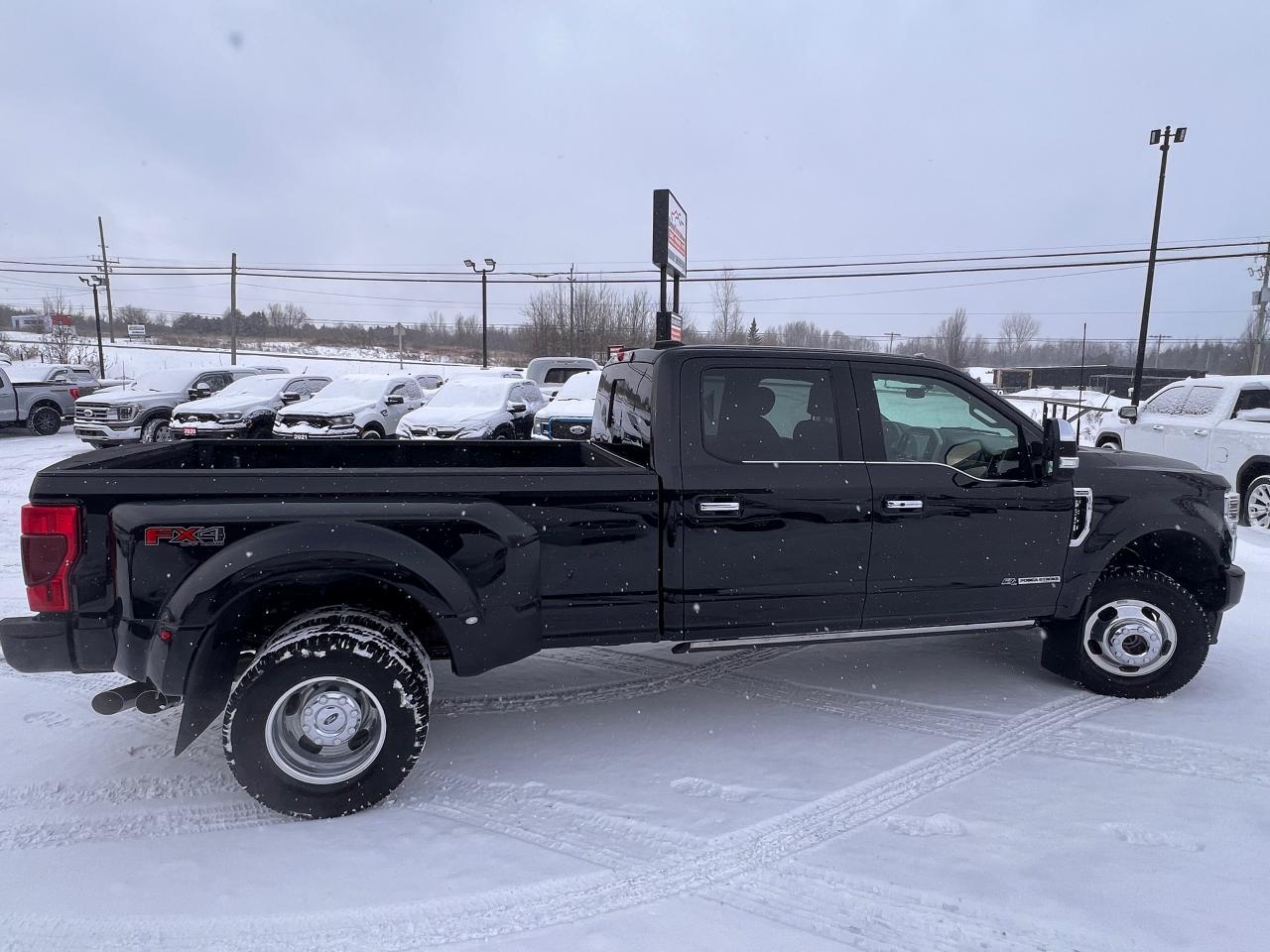 2022 Ford SUPER DUTY F-350 DRW Platinum Photo