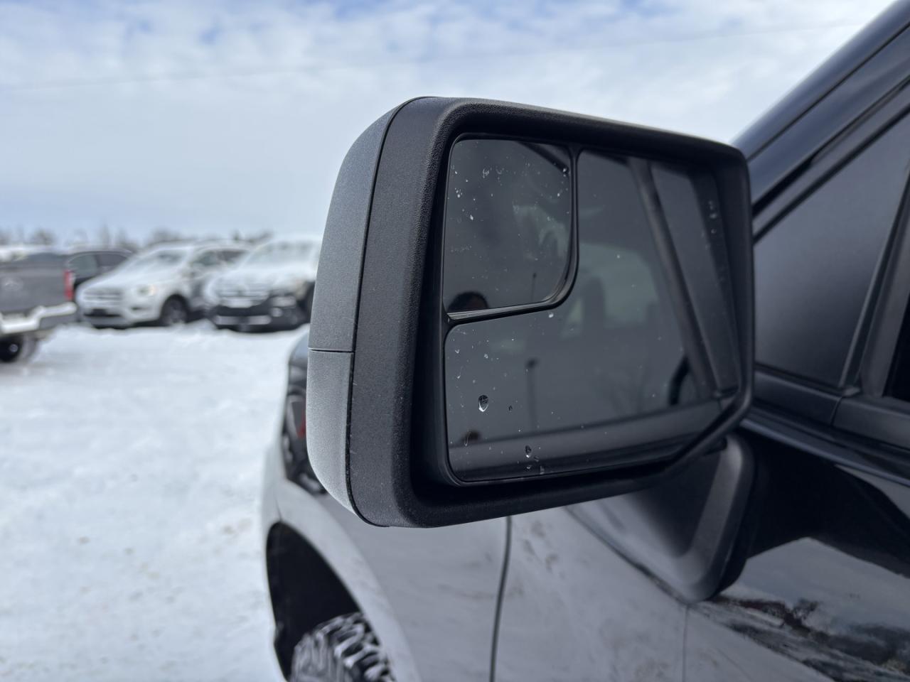 2019 Chevrolet Silverado 1500 Custom Trail Boss Photo