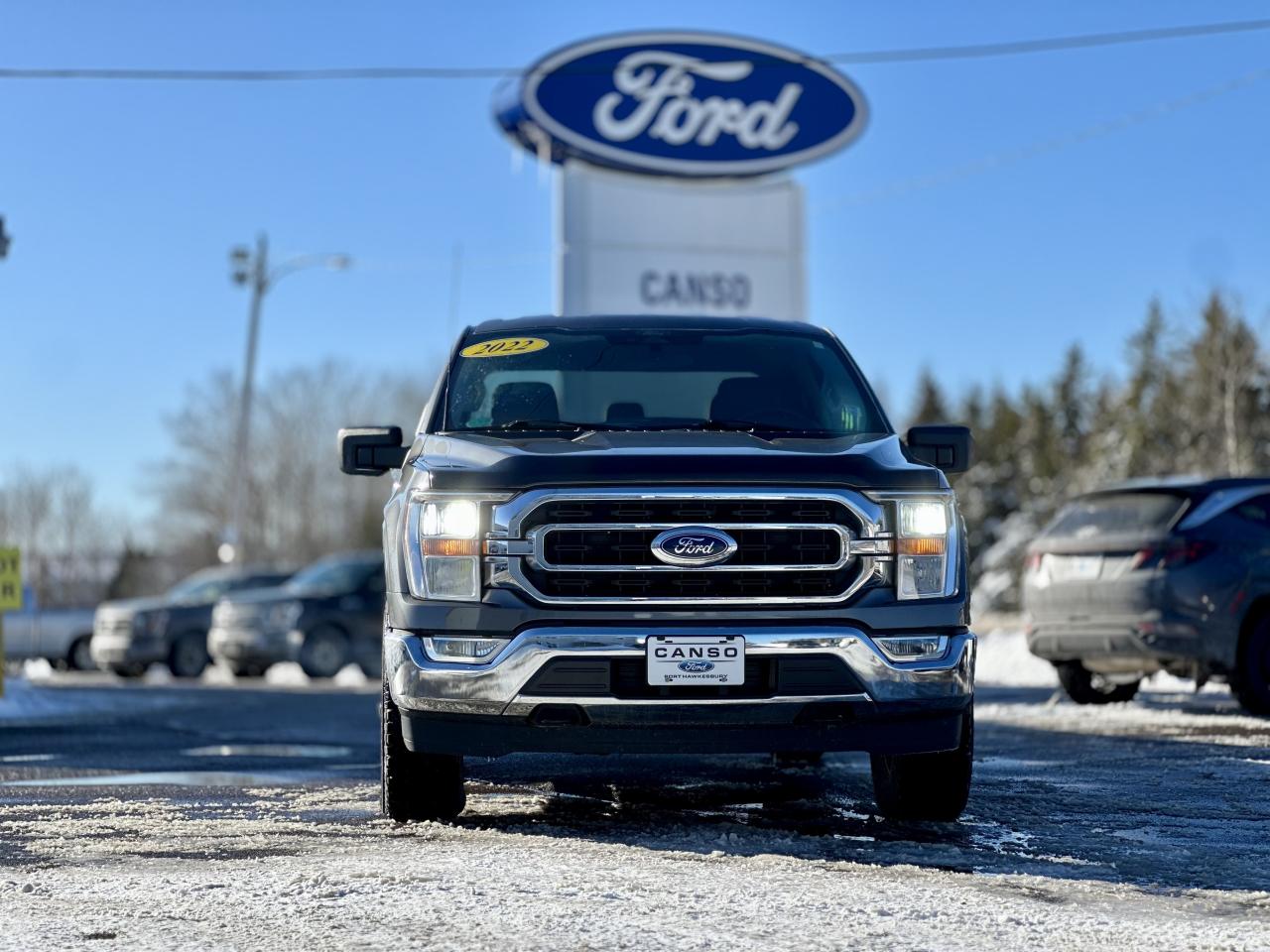 2022 Ford F-150 XLT 4WD SuperCrew 5.5' Bo Photo1