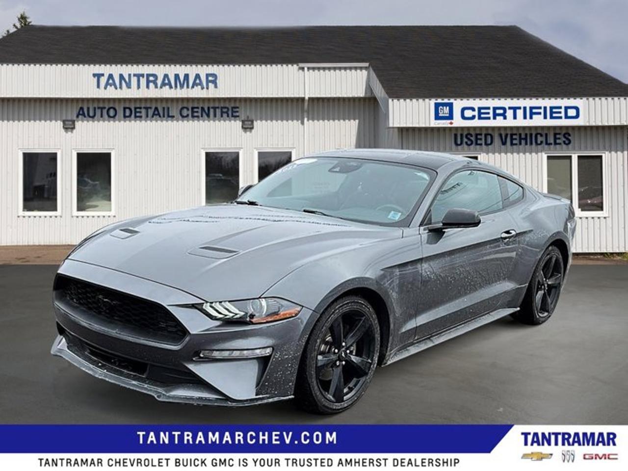 Recent Arrival! Gray Metallic 2023 Ford Mustang EcoBoost RWD 10-Speed Automatic EcoBoost 2.3L I4 GTDi DOHC Turbocharged VCTLOCAL TRADE, Value Market Pricing.Certified. Certification Program Details: * Exchange policy is 30 days or 2,500 kilometres, whichever comes first Free 3-month SiriusXM Trial. 1-month OnStar Trial. GM Owner Centre and Mobile App * 24/7 roadside assistance for 3 months or 5,000 km (whichever comes first) * 150+ Point Inspection * 3 months or 5,000 kilometres (whichever comes first) which can be extended or upgraded to an even more comprehensive Certified Pre-Owned Vehicle Protection Plan