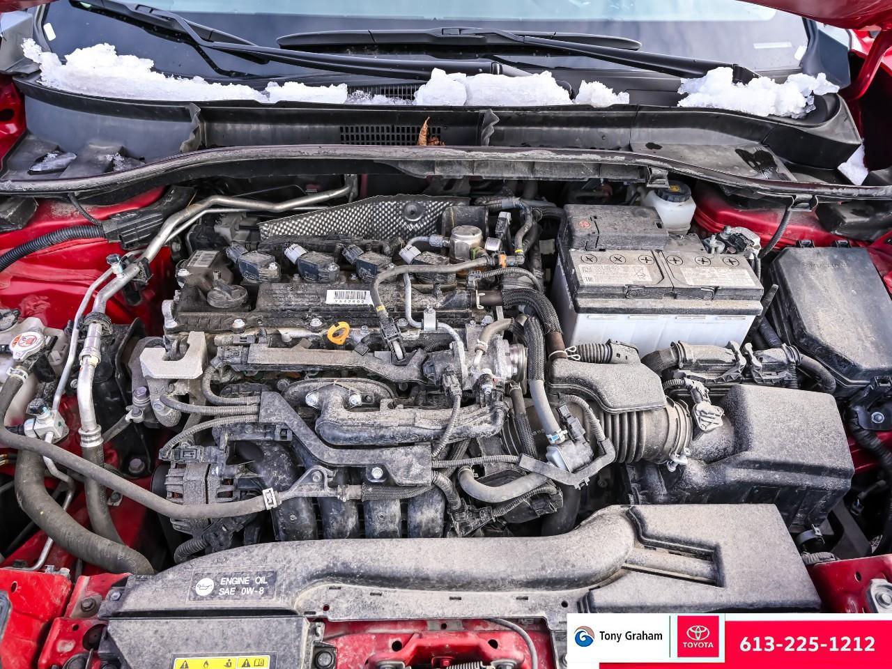 2024 Toyota Corolla Cross LE Photo