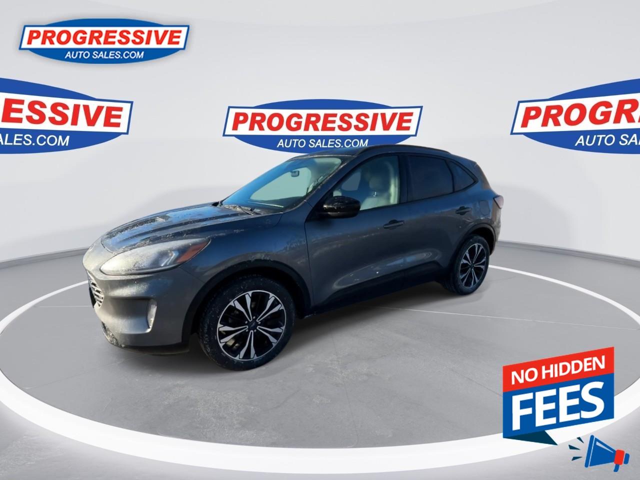 2022 Ford Escape SEL Photo