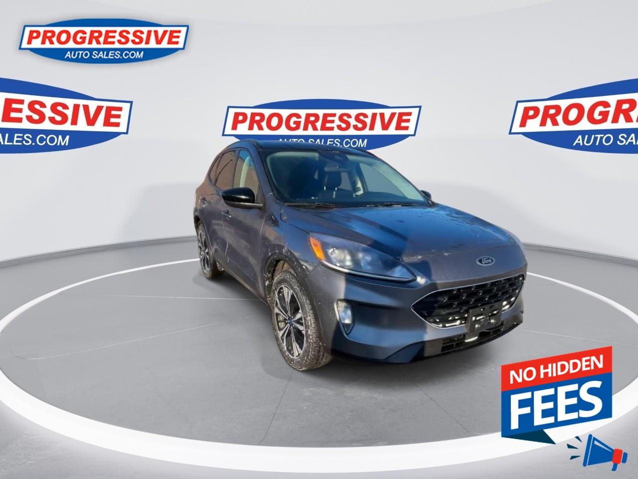 2022 Ford Escape SEL Photo2