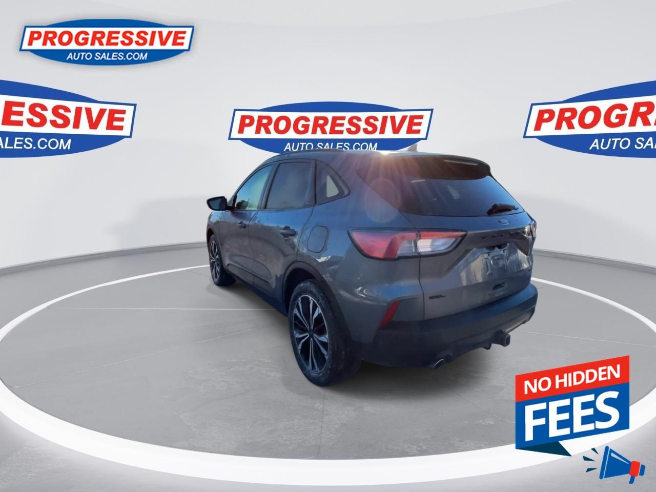 2022 Ford Escape SEL Photo