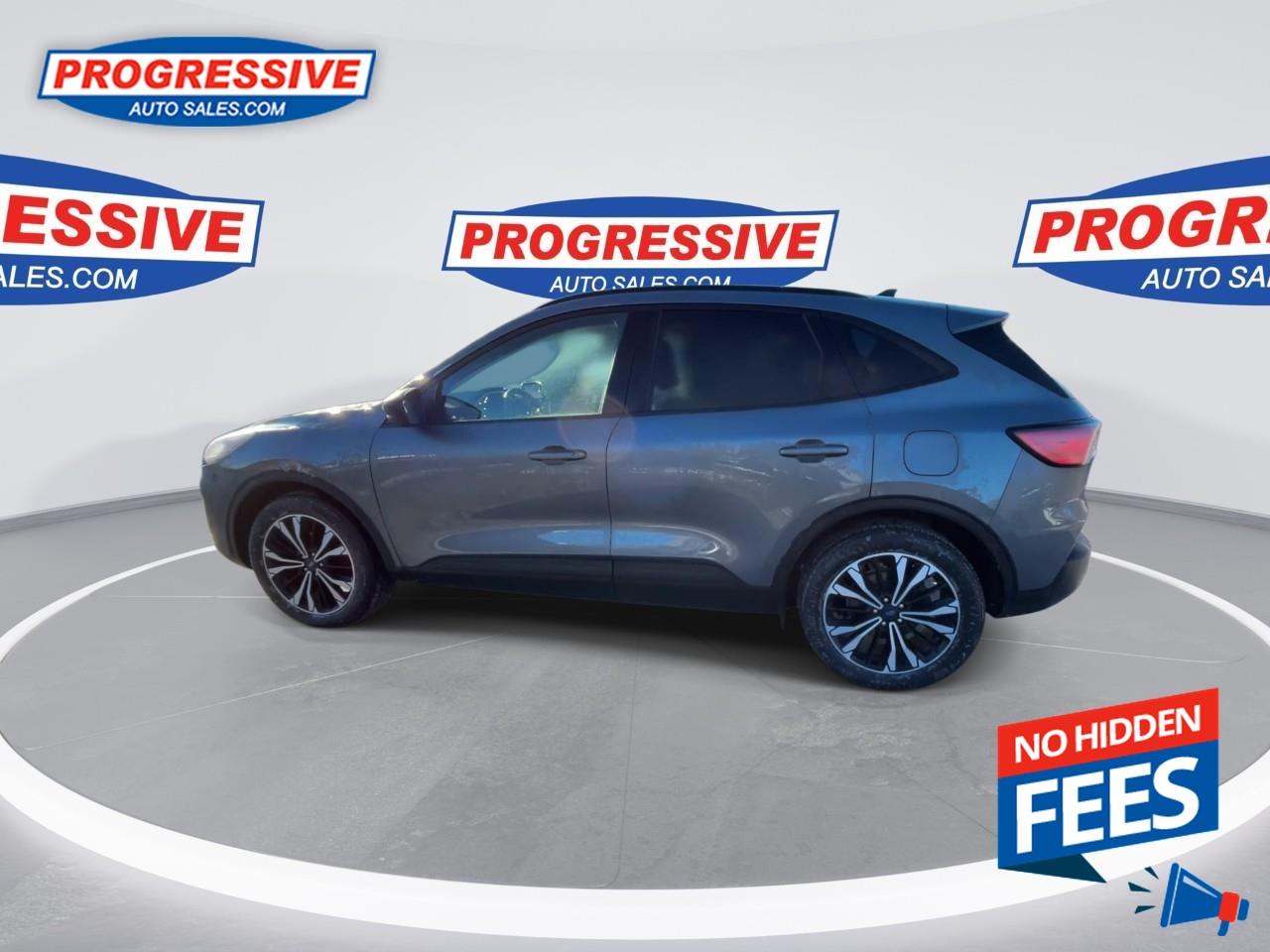 2022 Ford Escape SEL Photo