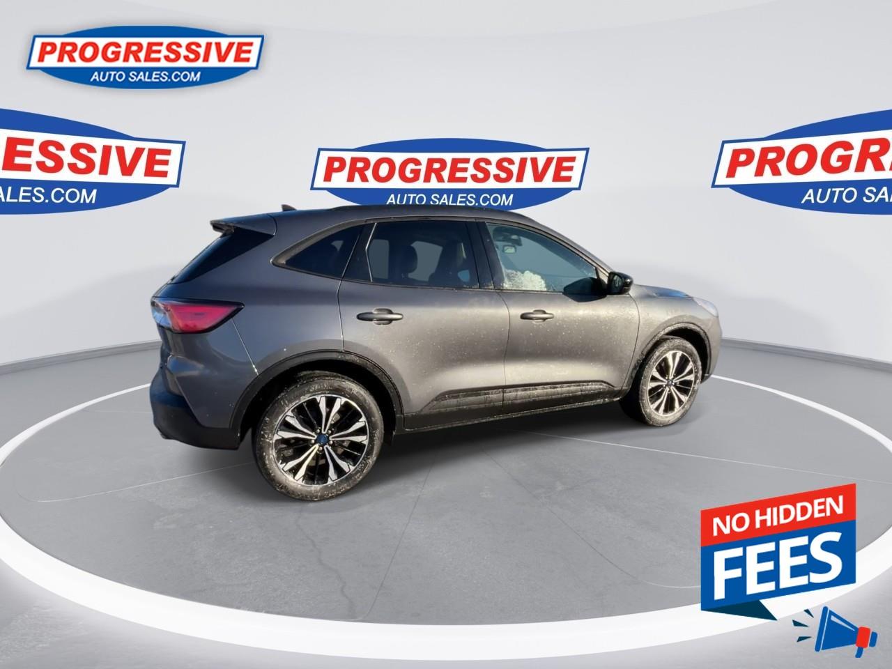 2022 Ford Escape SEL Photo