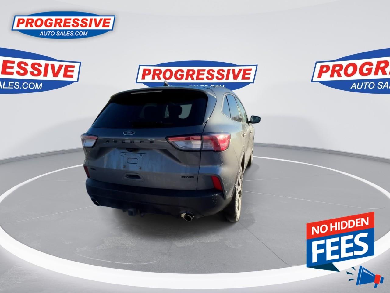 2022 Ford Escape SEL Photo