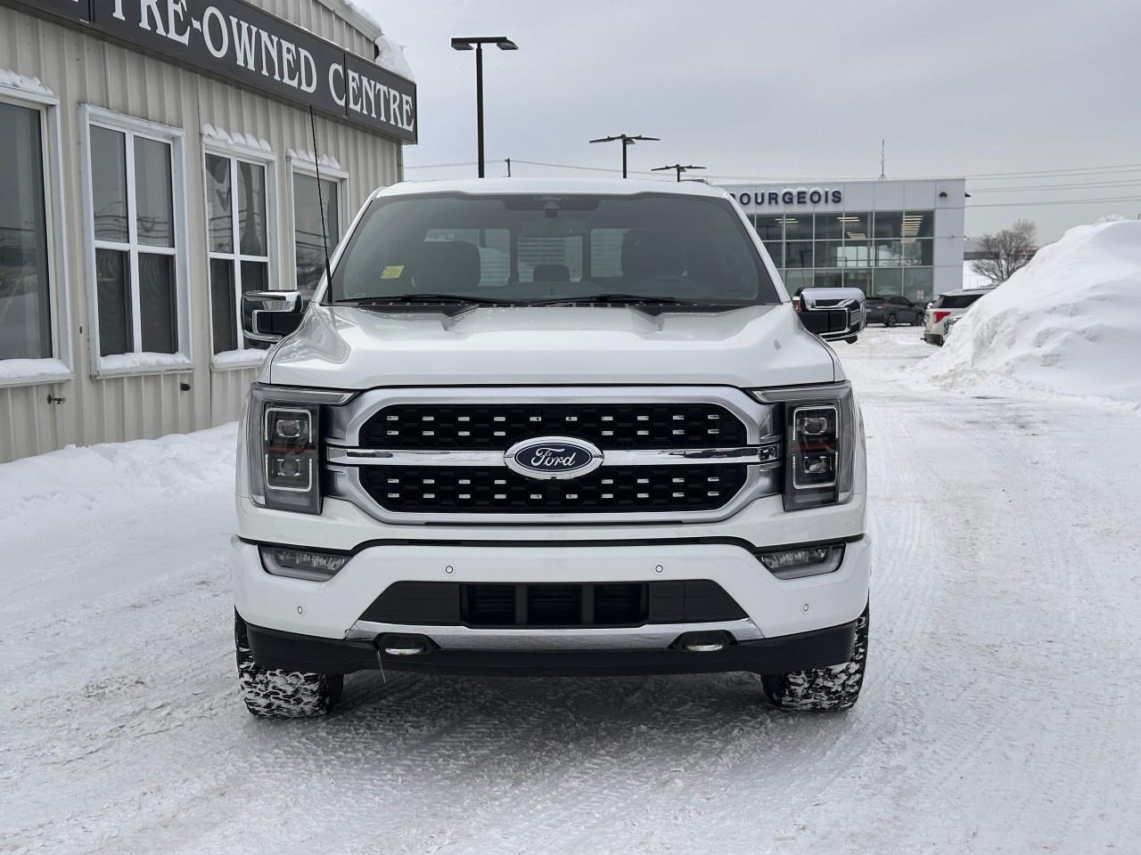 2022 Ford F-150 PLATINUM 4WD SUPERCREW 6.5' BOX Photo