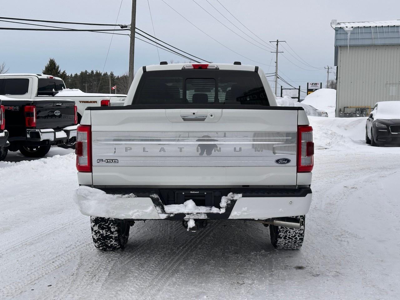 2022 Ford F-150 PLATINUM 4WD SUPERCREW 6.5' BOX Photo