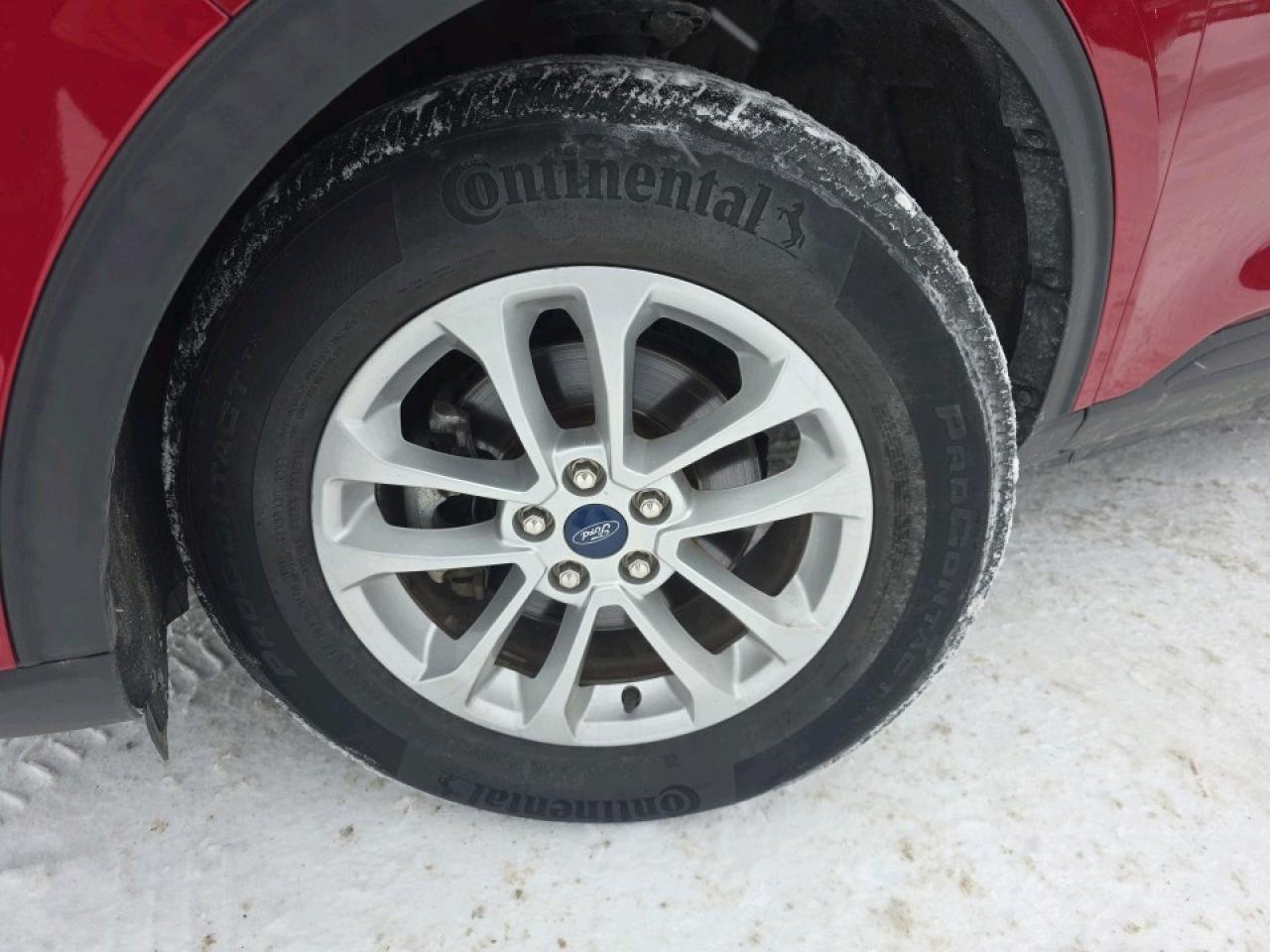 2020 Ford Escape SE AWD Photo