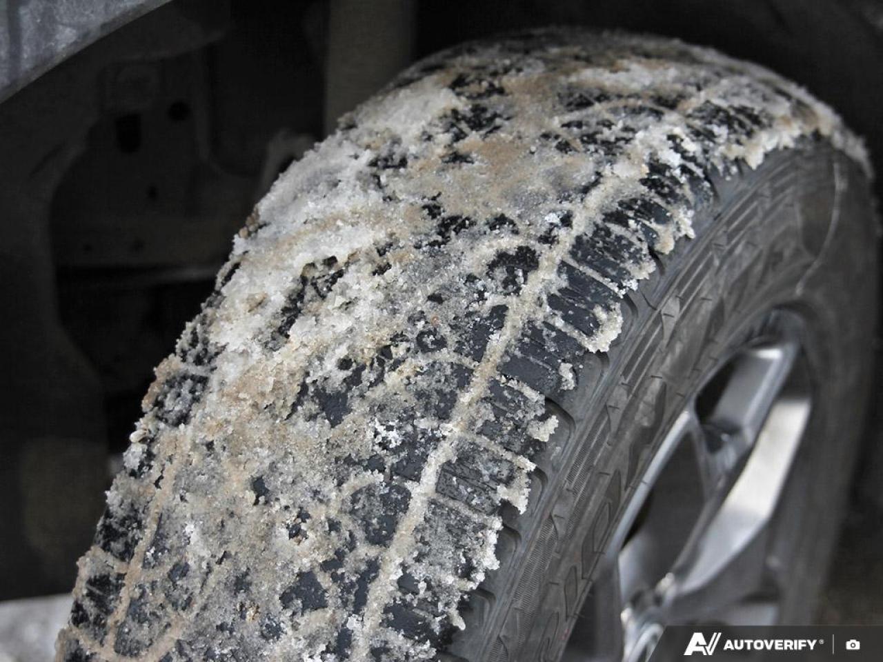 2023 Ford Bronco Sport Badlands Premium Package Photo