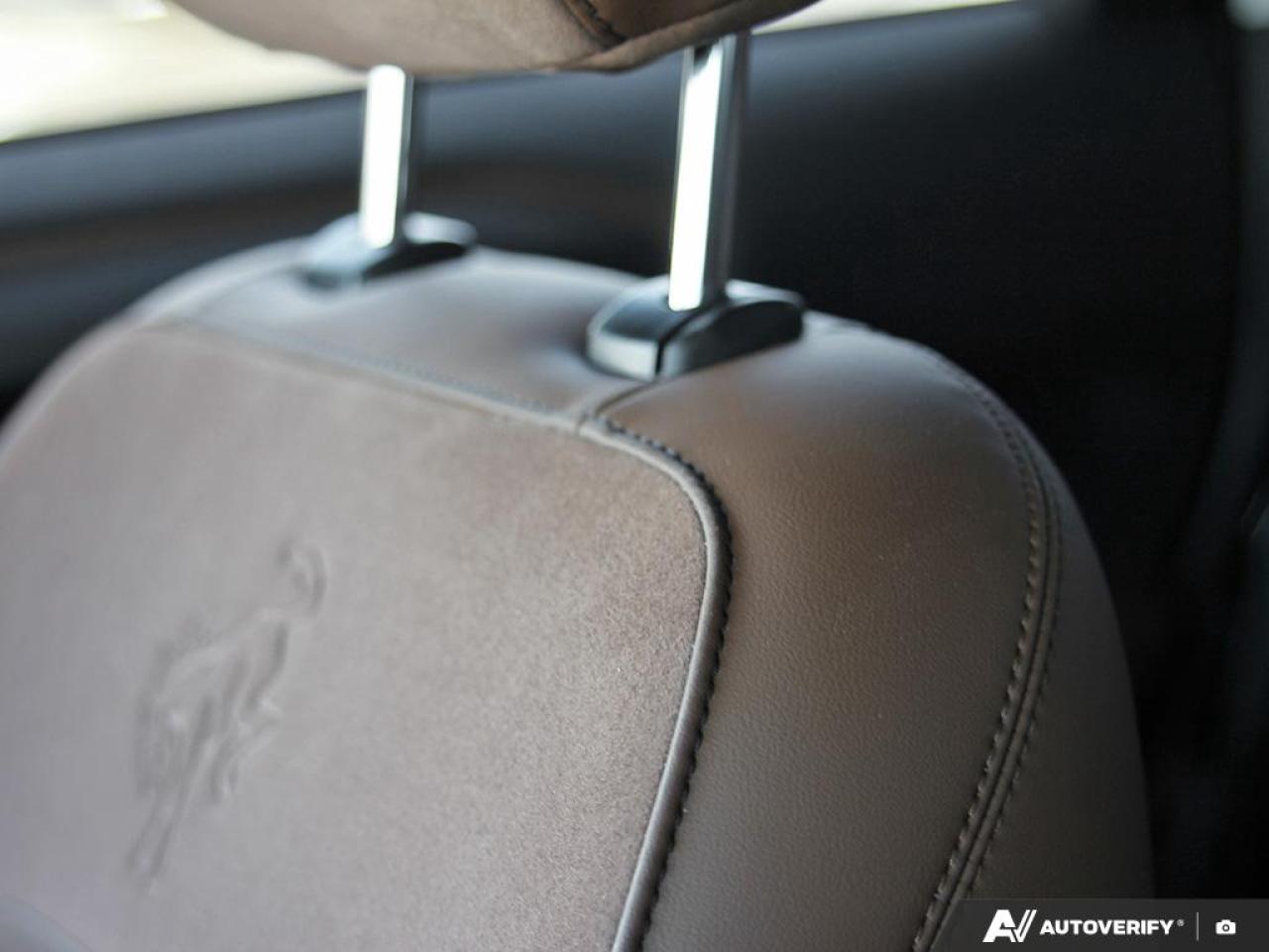 2023 Ford Bronco Sport Badlands Premium Package Photo