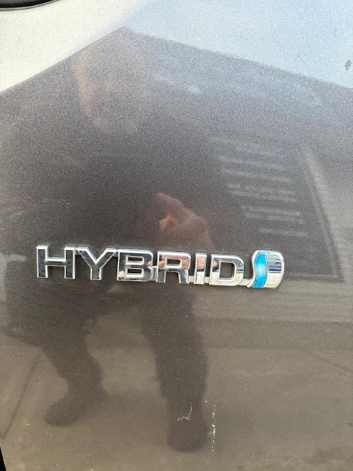 2009 Toyota Prius  Photo