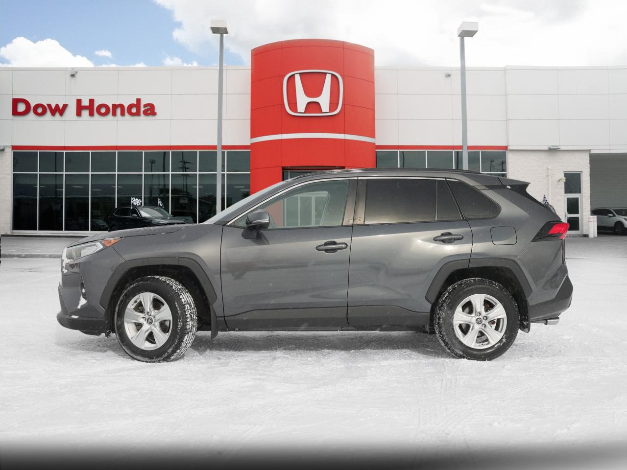 2019 Toyota RAV4 XLE 4dr All-wheel Drive Photo