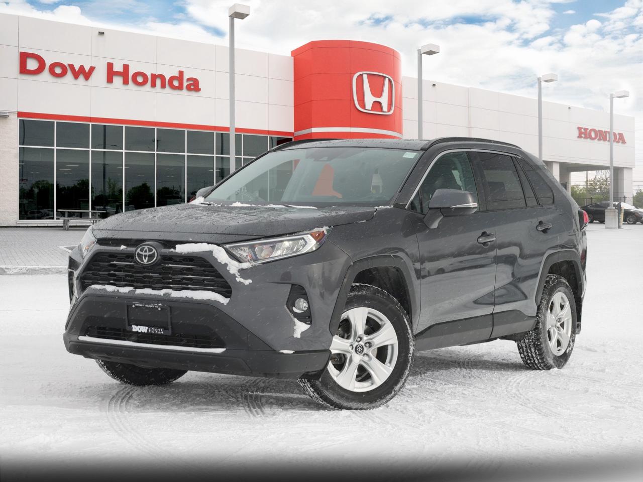 2019 Toyota RAV4 XLE 4dr All-wheel Drive Photo