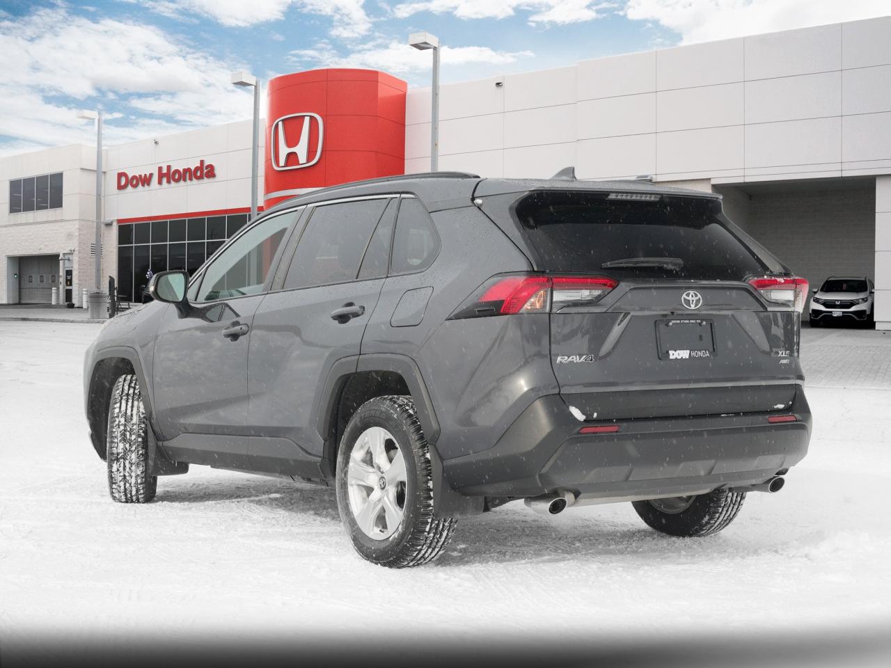 2019 Toyota RAV4 XLE 4dr All-wheel Drive Photo