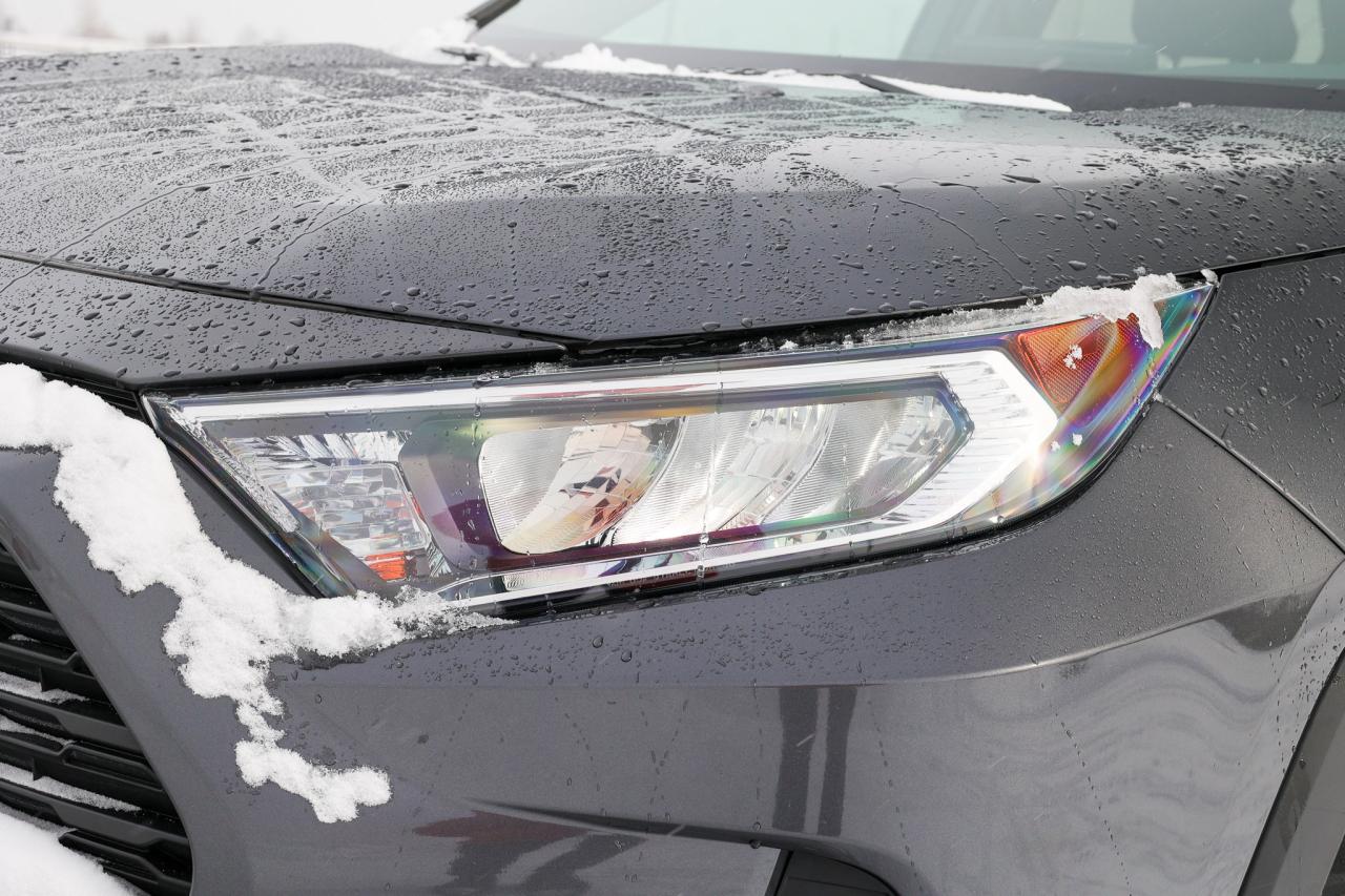 2019 Toyota RAV4 XLE 4dr All-wheel Drive Photo