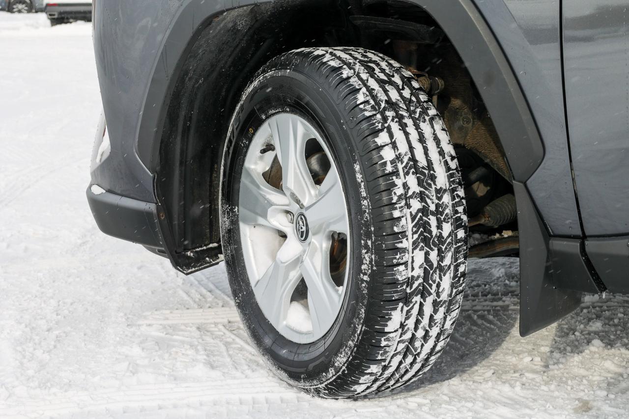 2019 Toyota RAV4 XLE 4dr All-wheel Drive Photo