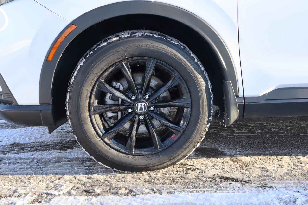 2025 Honda CR-V Hybrid EX-L 4dr All-Wheel Drive Photo