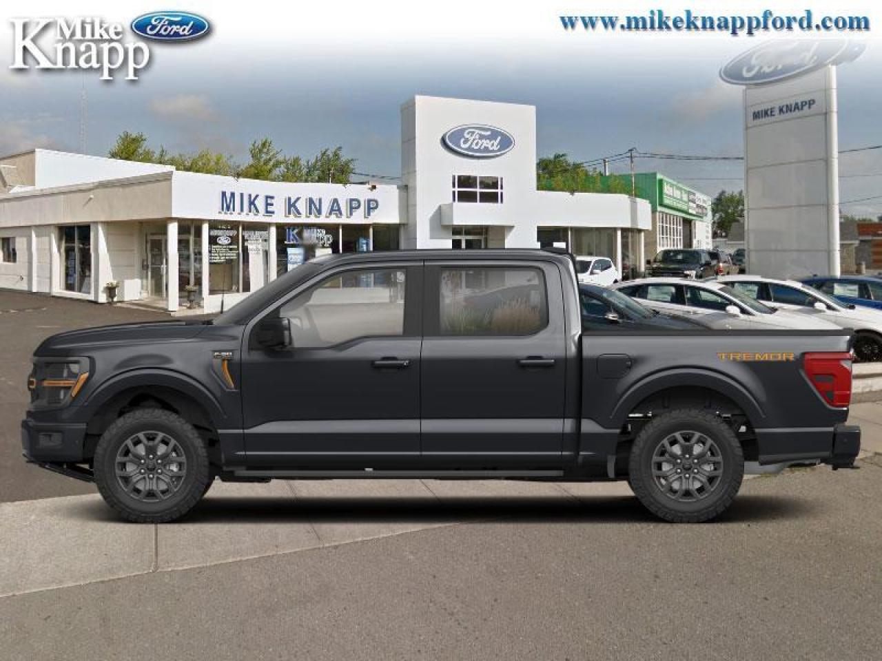 2025 Ford F-150 Tremor Photo0