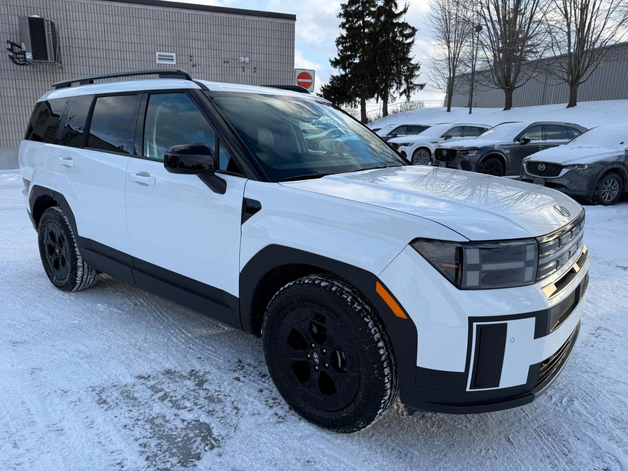 2025 Hyundai Santa Fe XRT 4dr All-Wheel Drive Photo