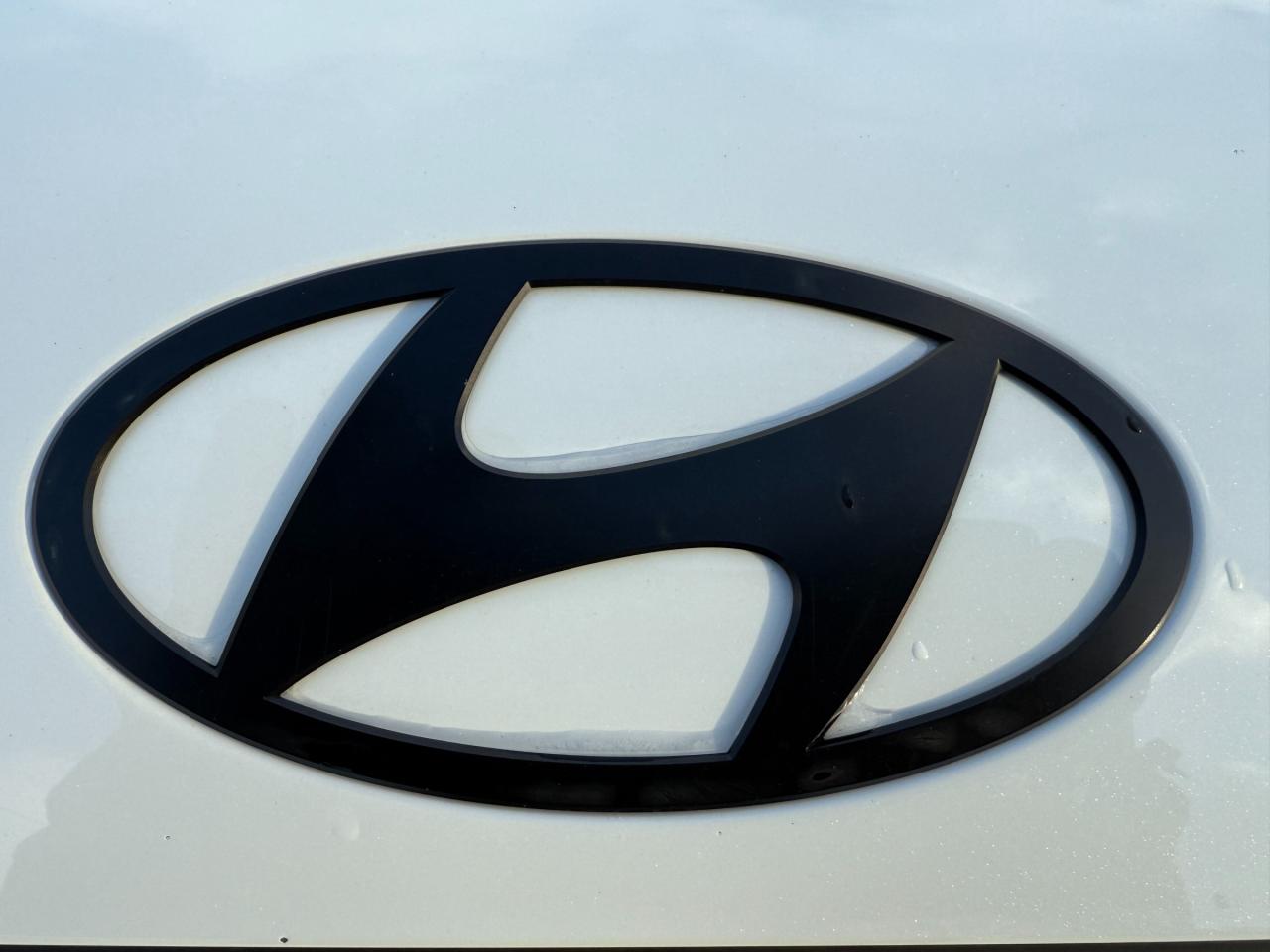 2025 Hyundai Santa Fe XRT 4dr All-Wheel Drive Photo