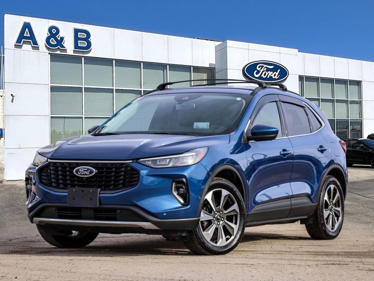 2023 Ford Escape Platinum 4dr All-Wheel Drive Photo0