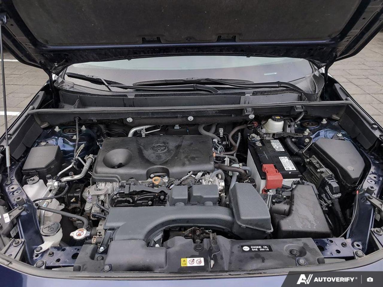 2022 Toyota RAV4 XLE 4dr All-wheel Drive Photo