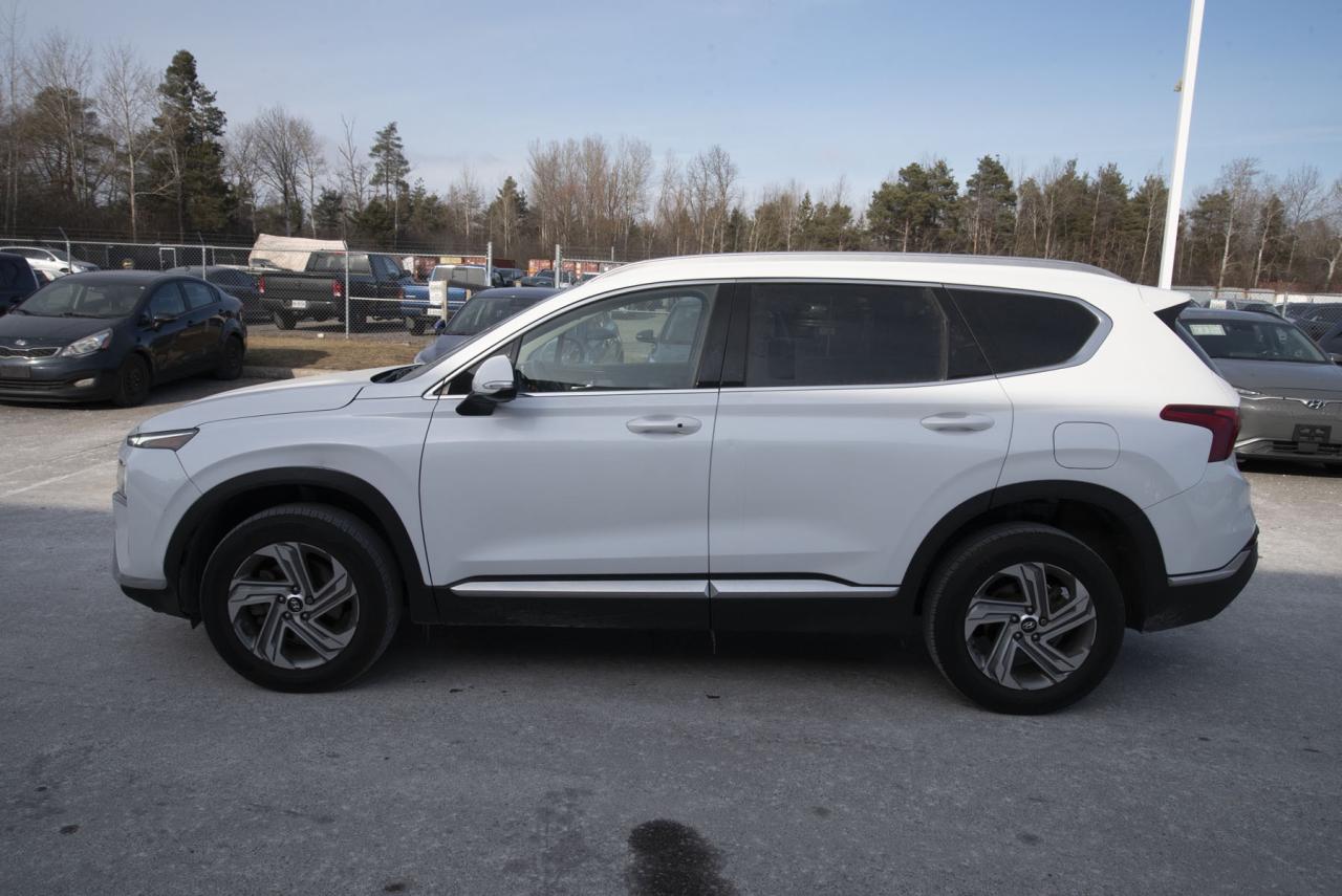 2022 Hyundai Santa Fe SANTA FE SEL Photo