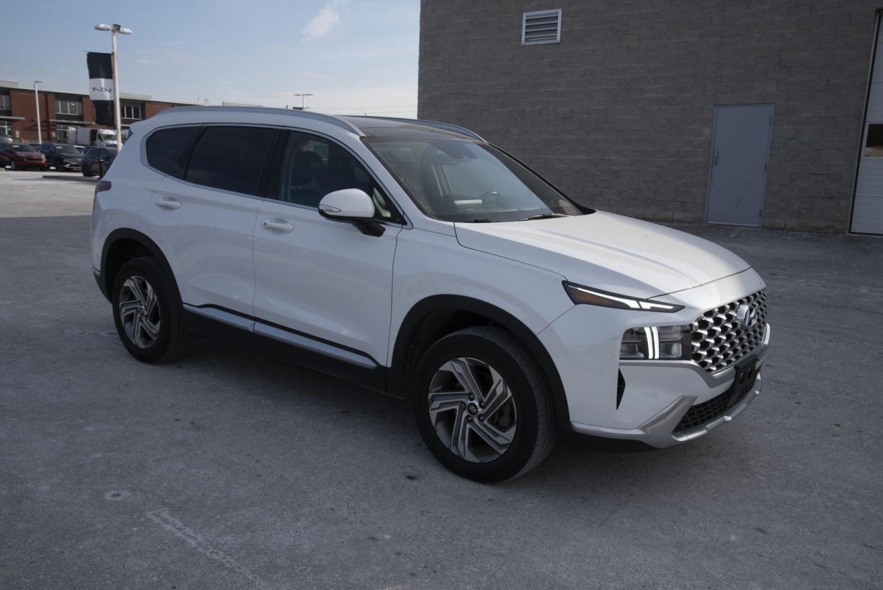 2022 Hyundai Santa Fe SANTA FE SEL Photo