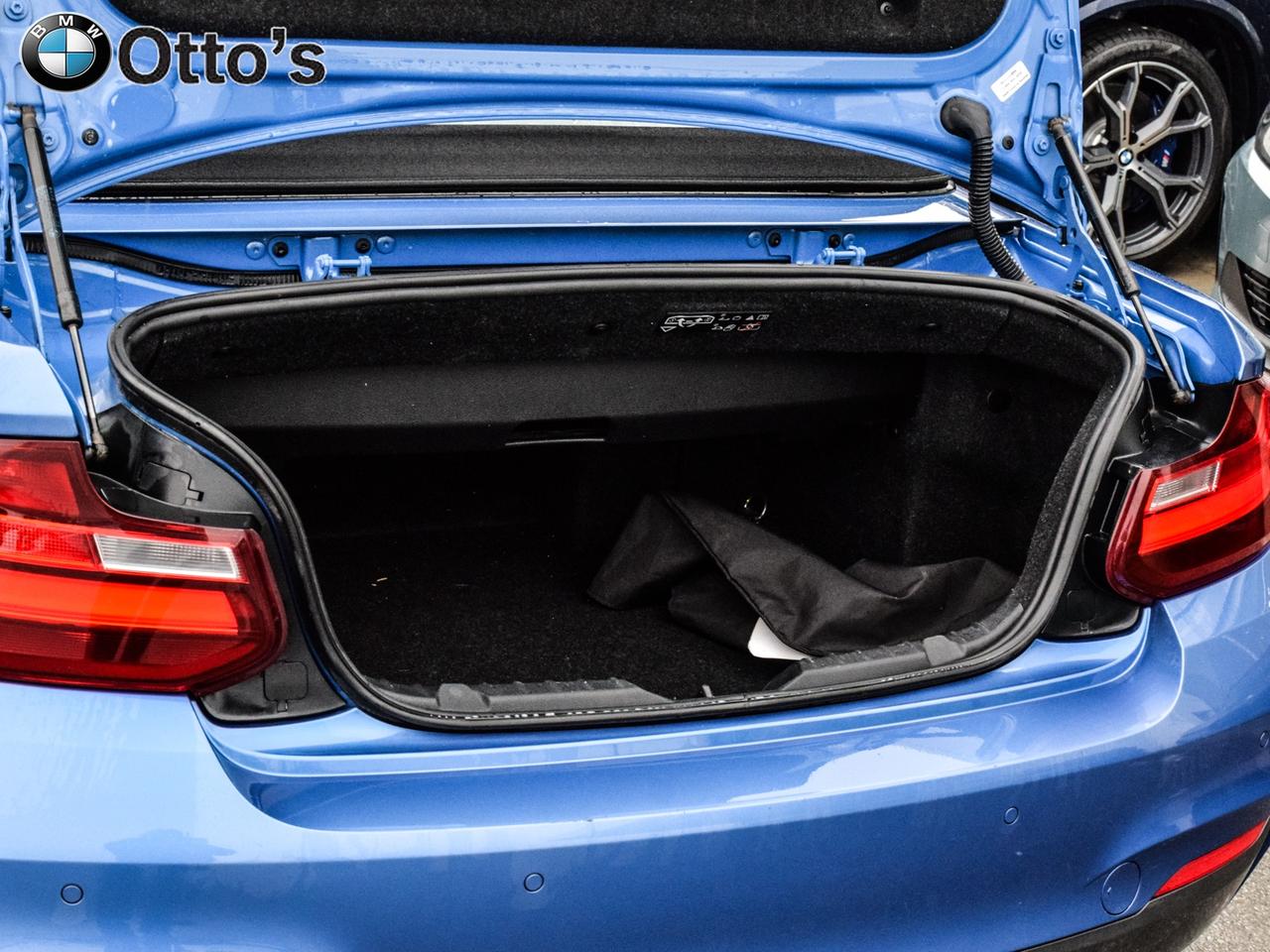 2016 BMW 228i xDrive Cabriolet Photo