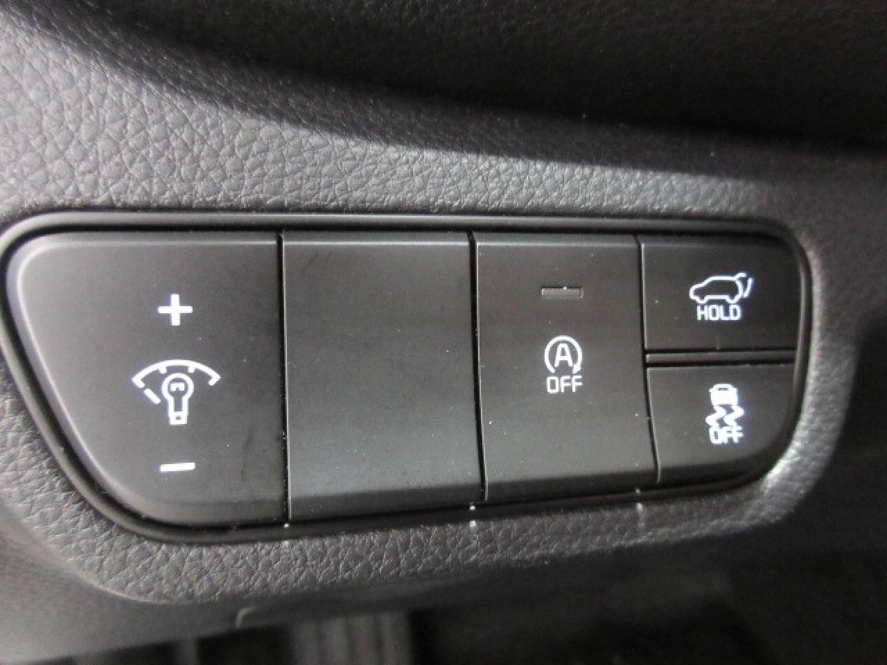 2025 Kia Seltos EX PREMIUM AWD, NAV, ROOF, HTD. LEATHER, 12K! Photo