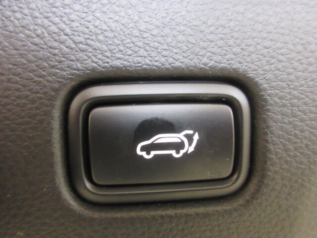 2025 Kia Seltos EX PREMIUM AWD, NAV, ROOF, HTD. LEATHER, 12K! Photo