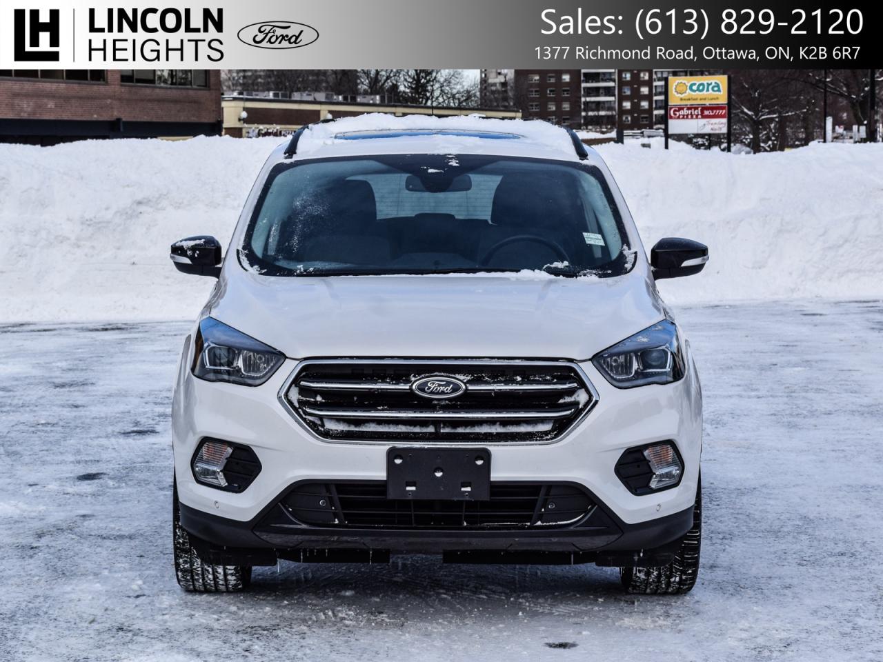 2019 Ford Escape  Photo