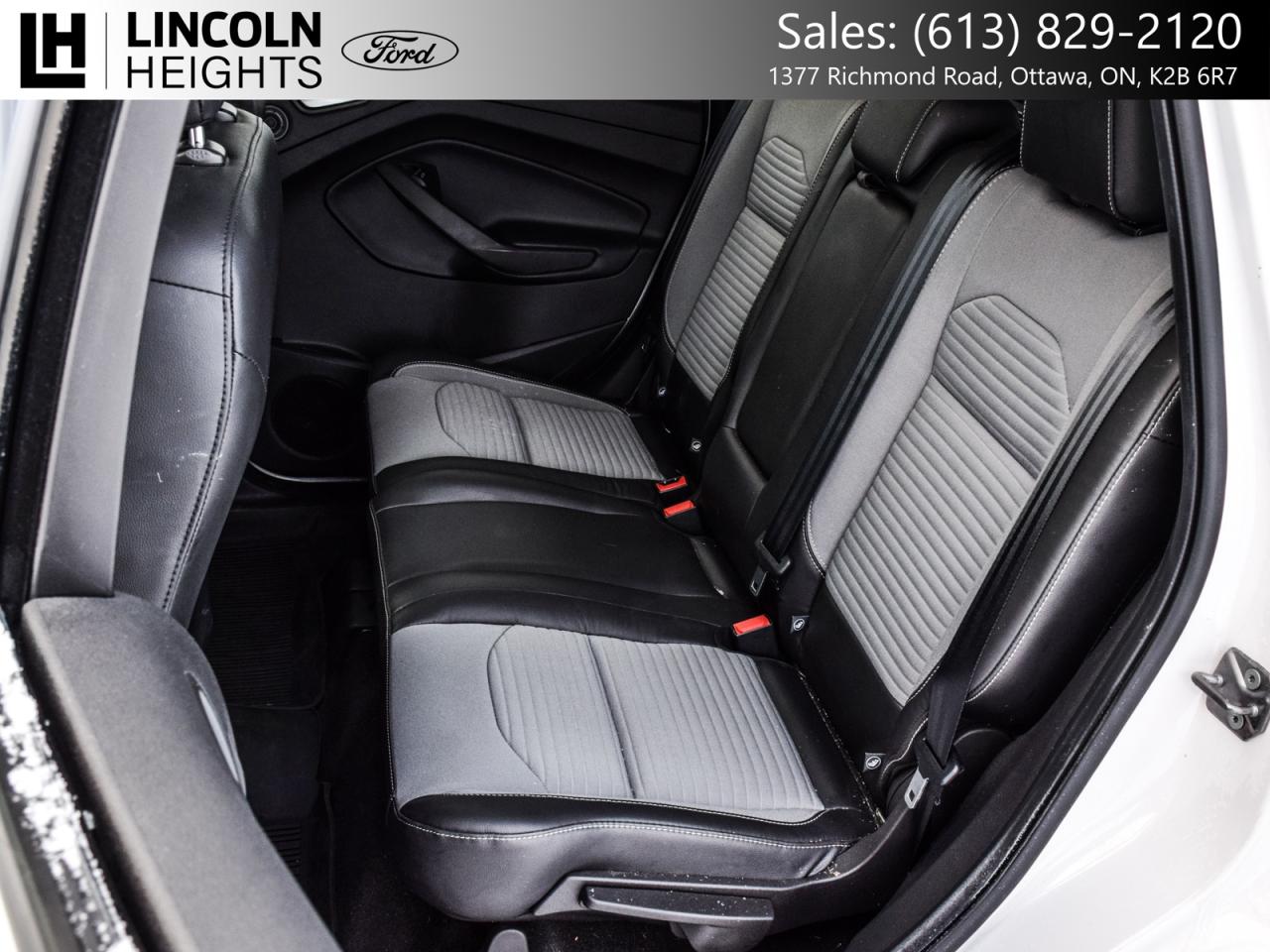 2019 Ford Escape  Photo