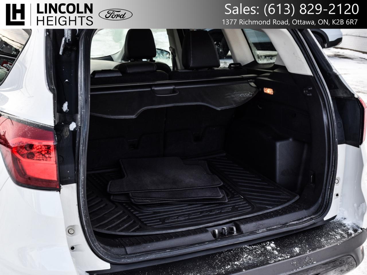 2019 Ford Escape  Photo