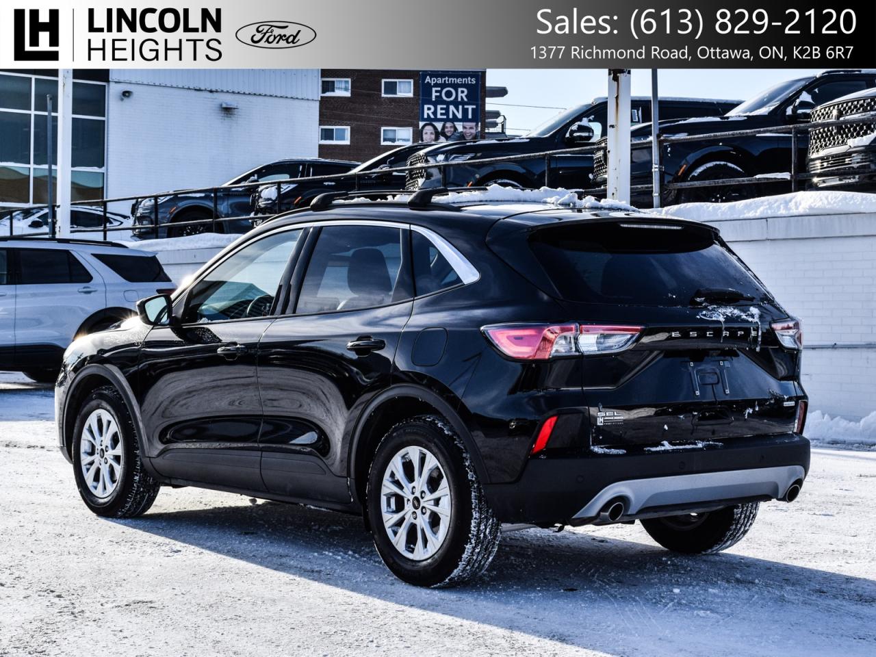 2020 Ford Escape  Photo