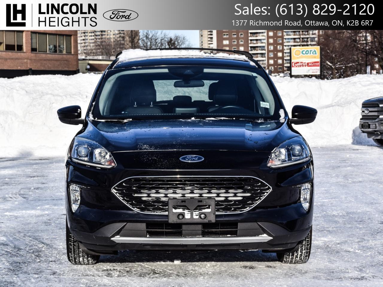 2020 Ford Escape  Photo