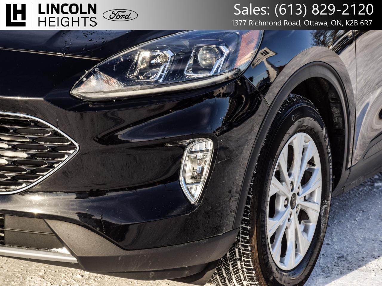 2020 Ford Escape  Photo