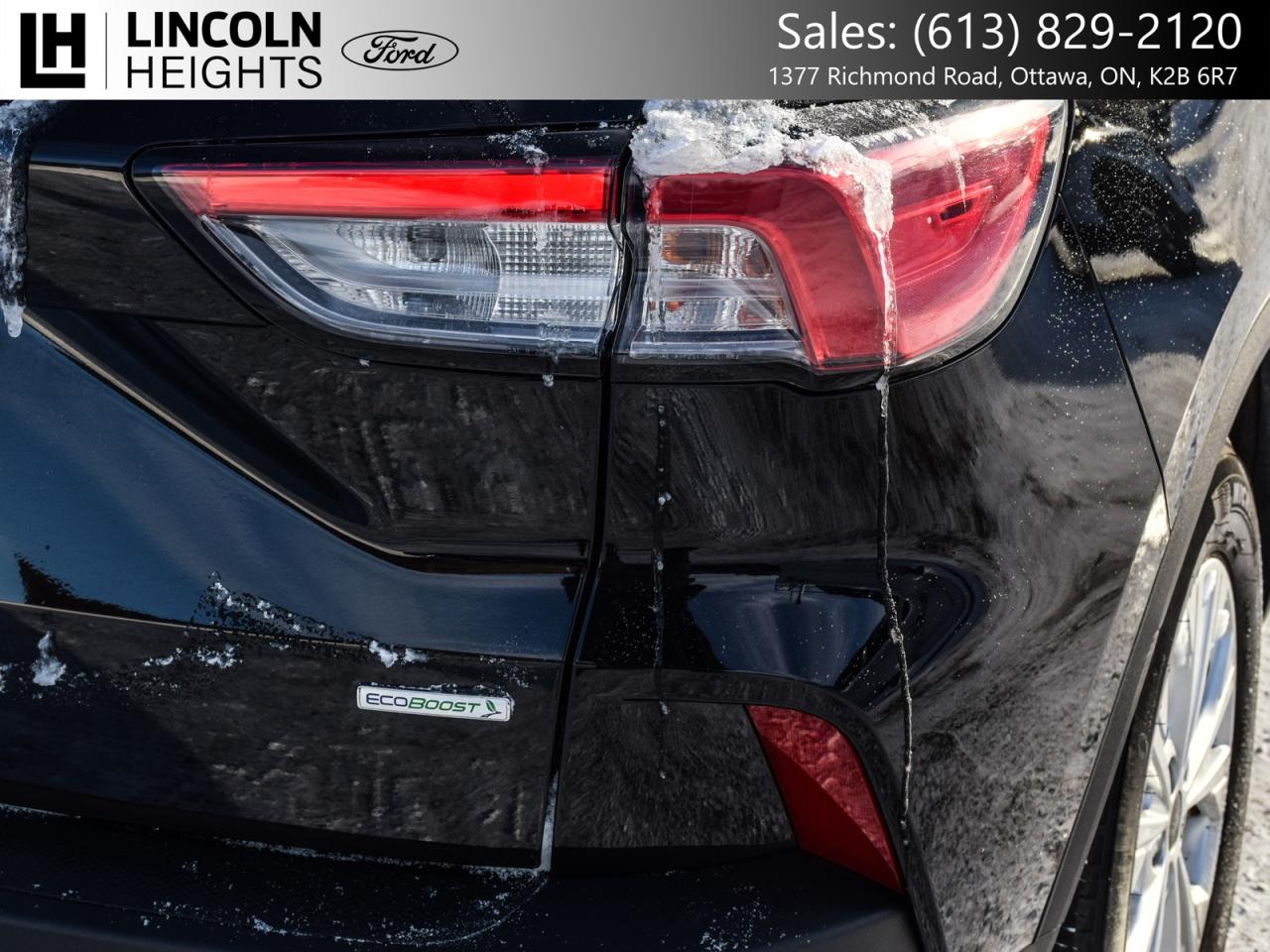 2020 Ford Escape  Photo