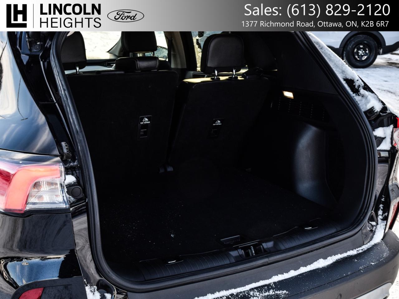 2020 Ford Escape  Photo