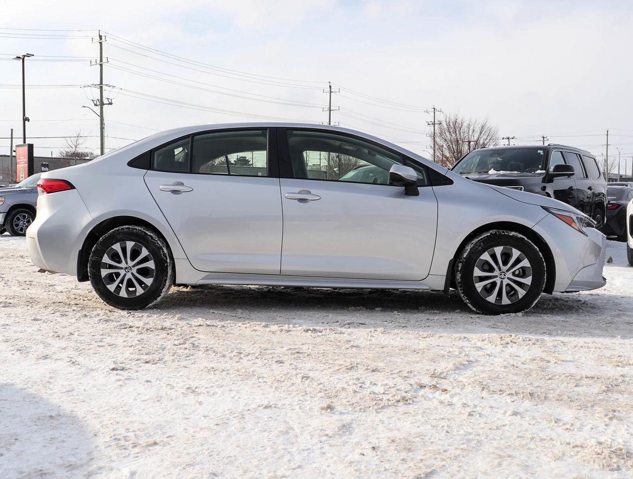 2024 Toyota Corolla Hybrid LE Photo