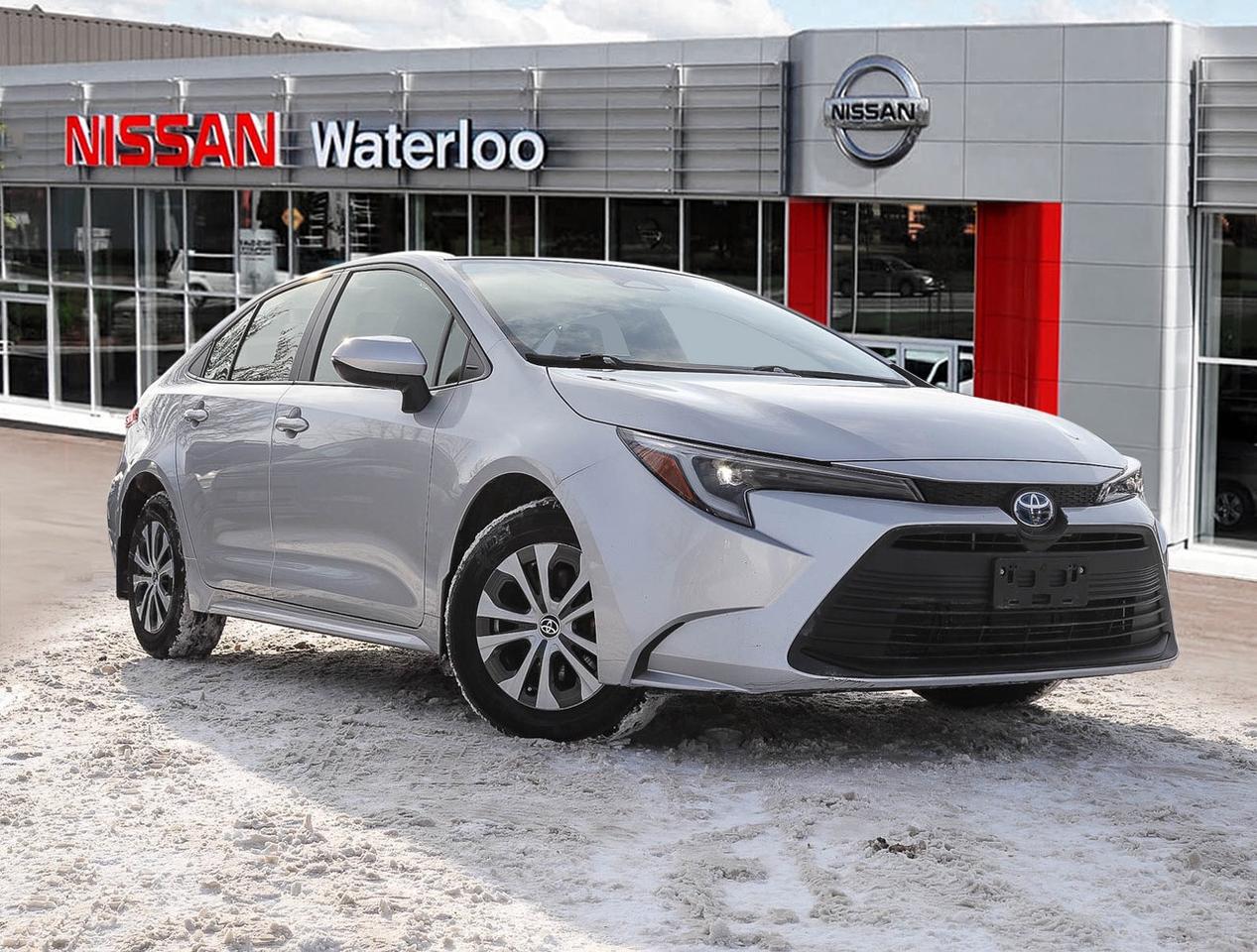 2024 Toyota Corolla Hybrid LE Photo