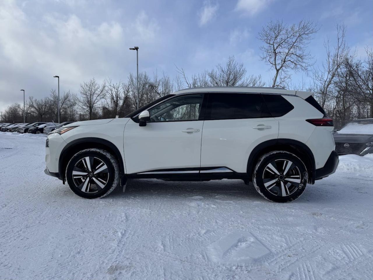 2023 Nissan Rogue Platinum Photo