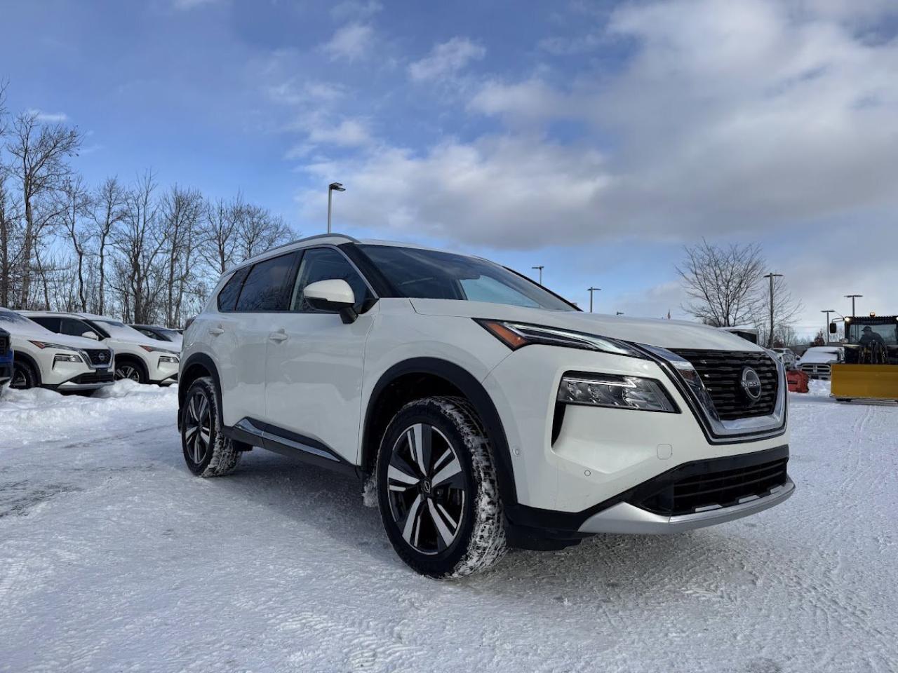 2023 Nissan Rogue Platinum Photo