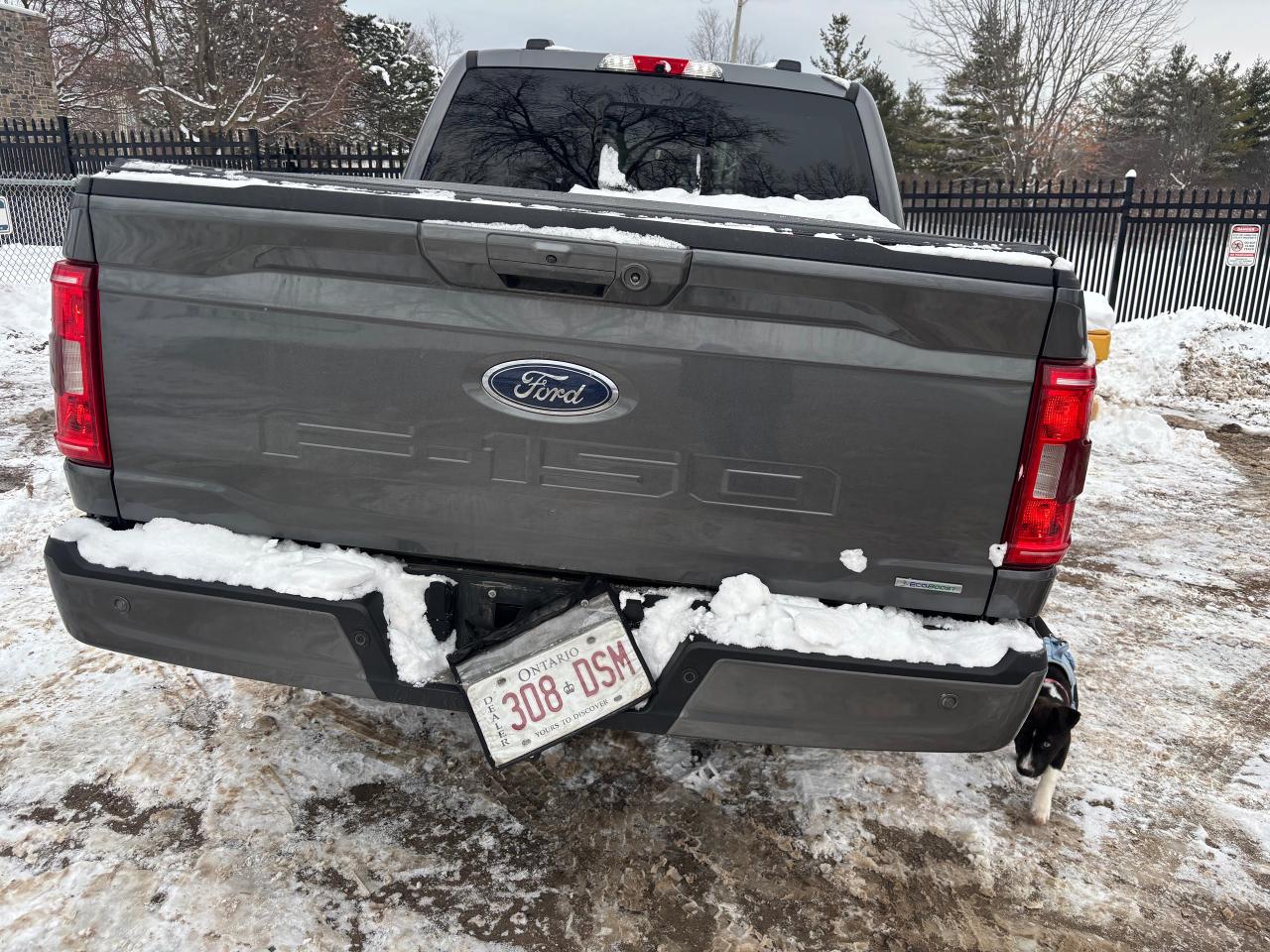 2022 Ford F-150 XLT SPORT Photo4