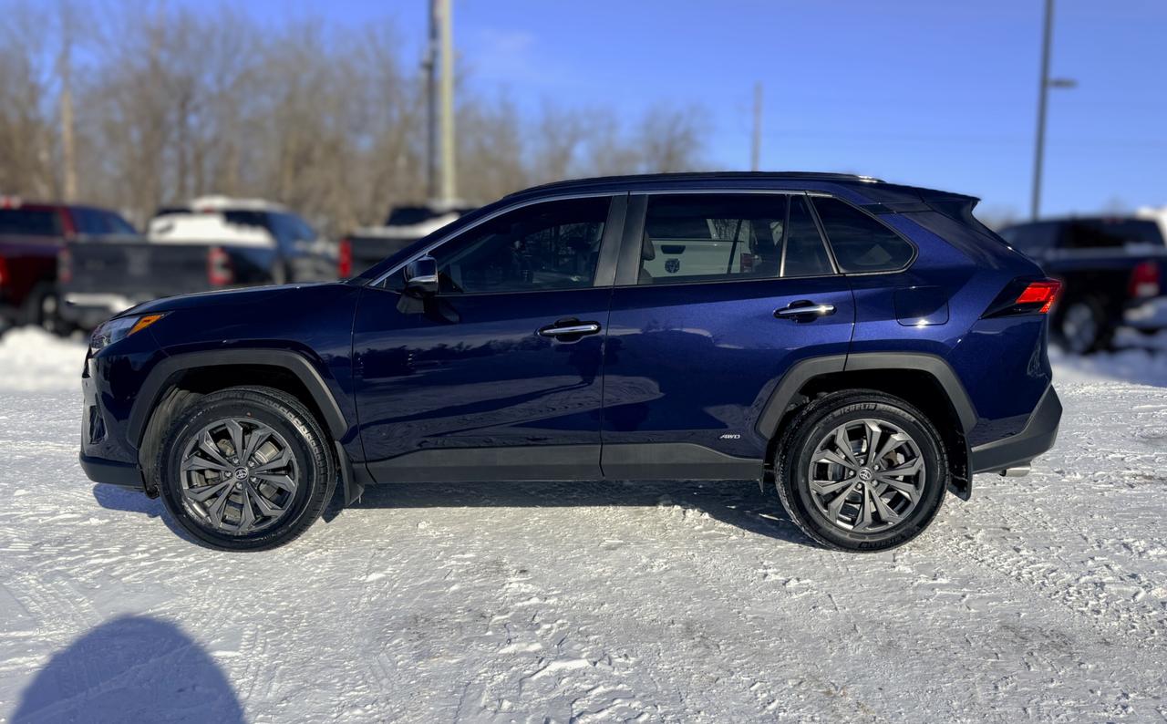 2023 Toyota RAV4 Hybrid Limited AWD | SUNROOF |  PREMIUM AUDIO | Photo