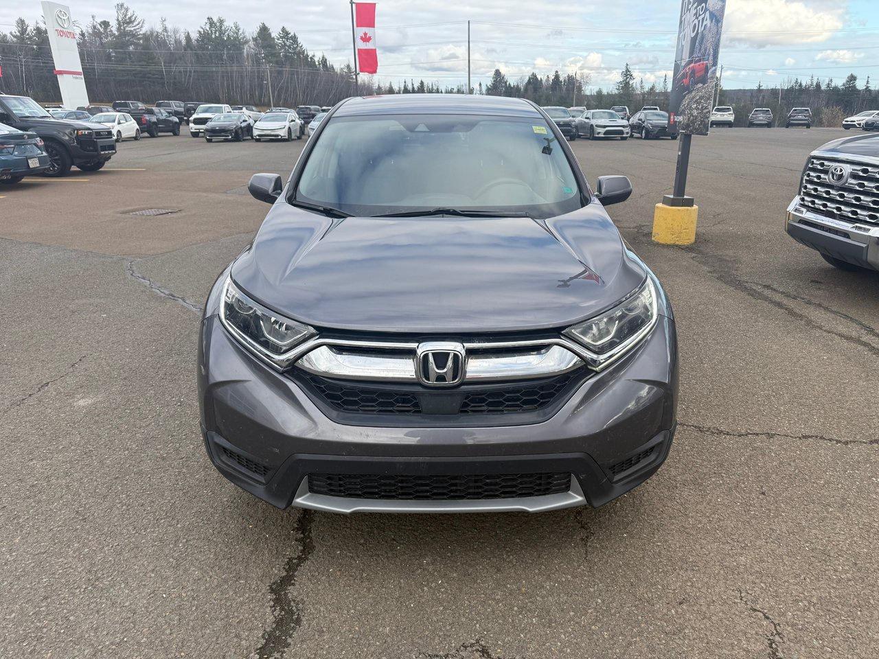 2019 Honda CR-V LX Photo1