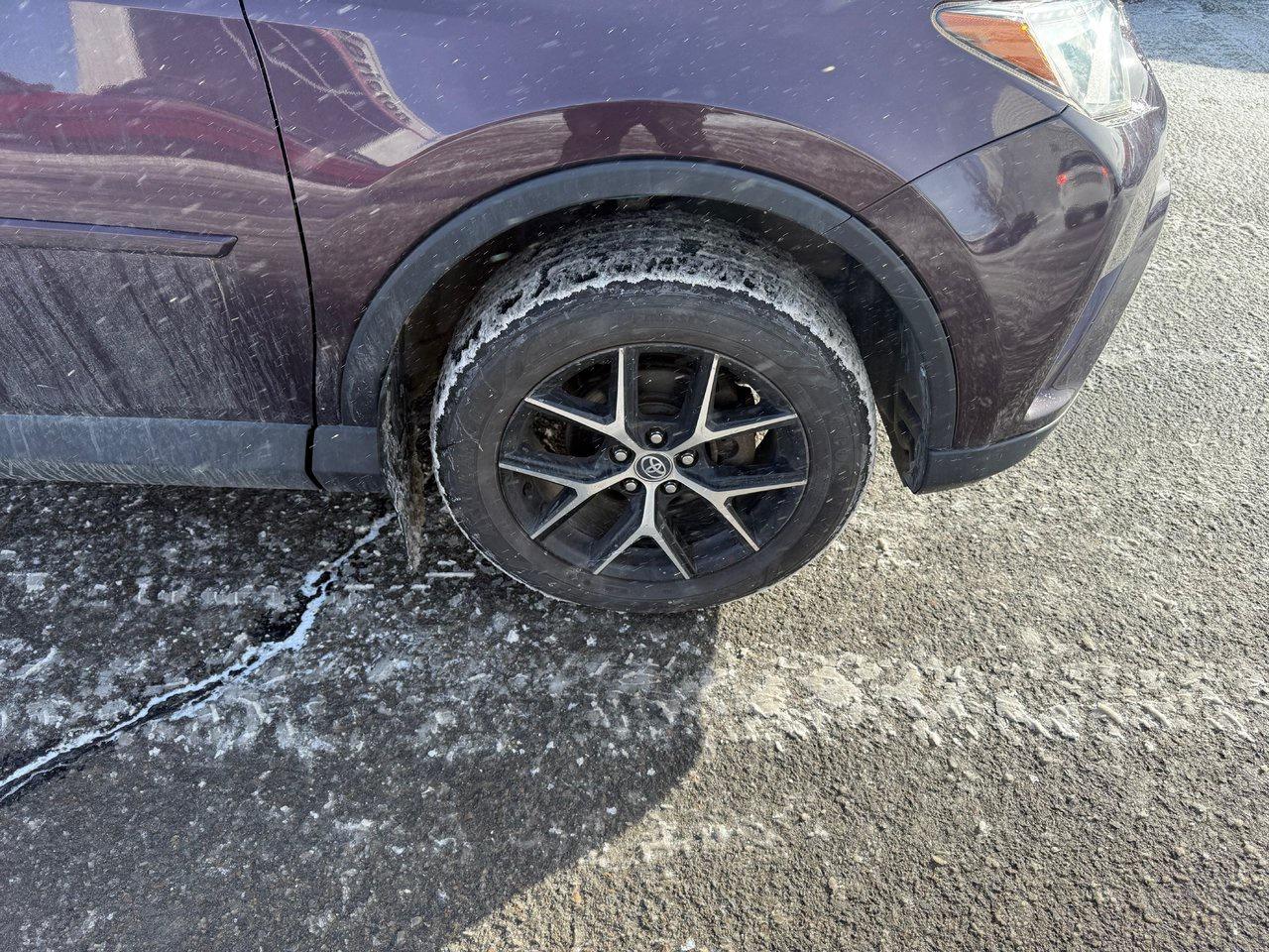 2018 Toyota RAV4 se Photo